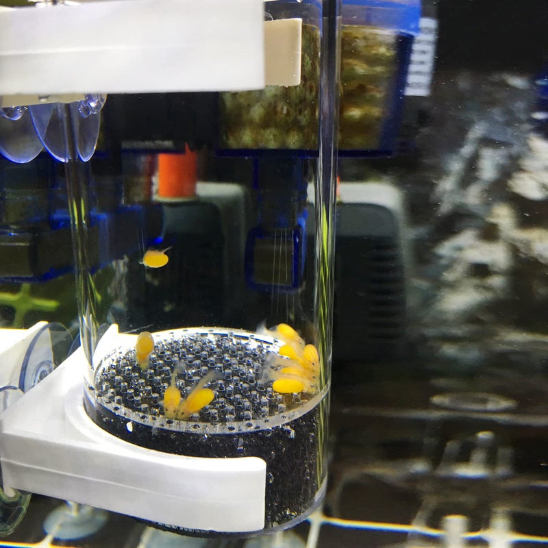 WEAVERBIRD 40mm Fish Hatchery Incubator, Aquarium Cichlids Fish Egg Incubator Tumbler Fish Hatchery Breeding for Fish Tank - Image 5
